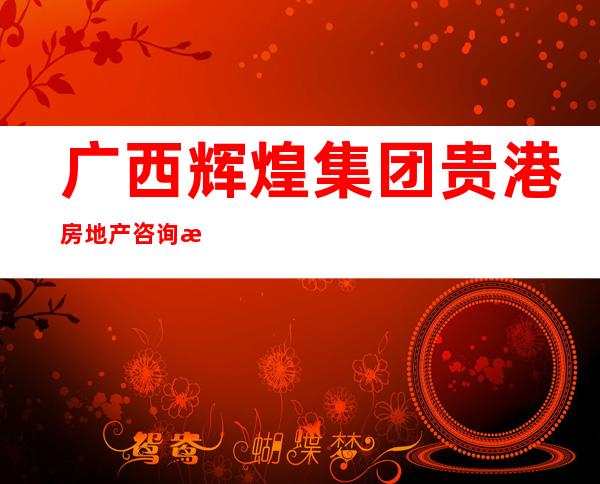 广西辉煌集团贵港房地产咨询服务有限公司